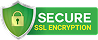 secure ssl conection logo
